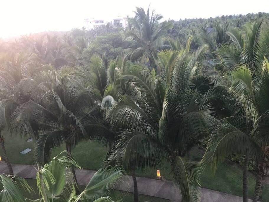 Apartamento Acapulco Amplio Depto 3Bd En Residencial La Isla Torre Hawaii Exterior foto
